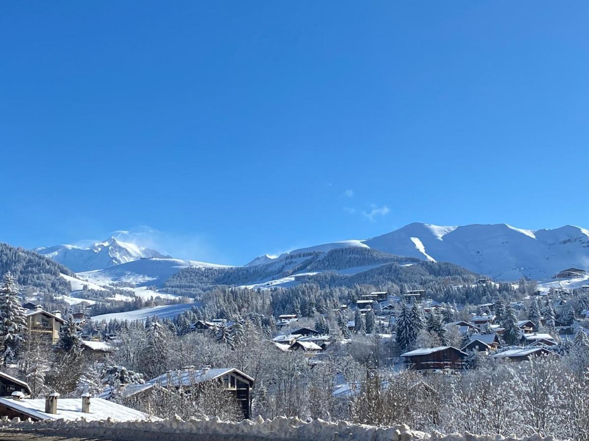 Chaleureux Appartement Renove Ambiance Chalet Praz-sur-Arly Exterior foto